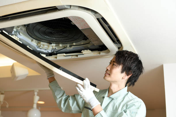 Best Local Air Duct Cleaning Services  in Shady Hollow, TX