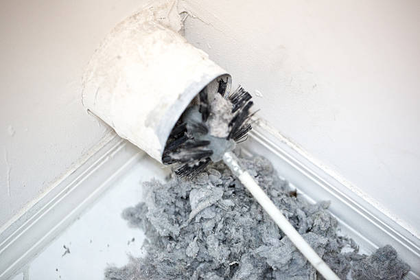 Best Affordable Duct Cleaning Services  in Shady Hollow, TX